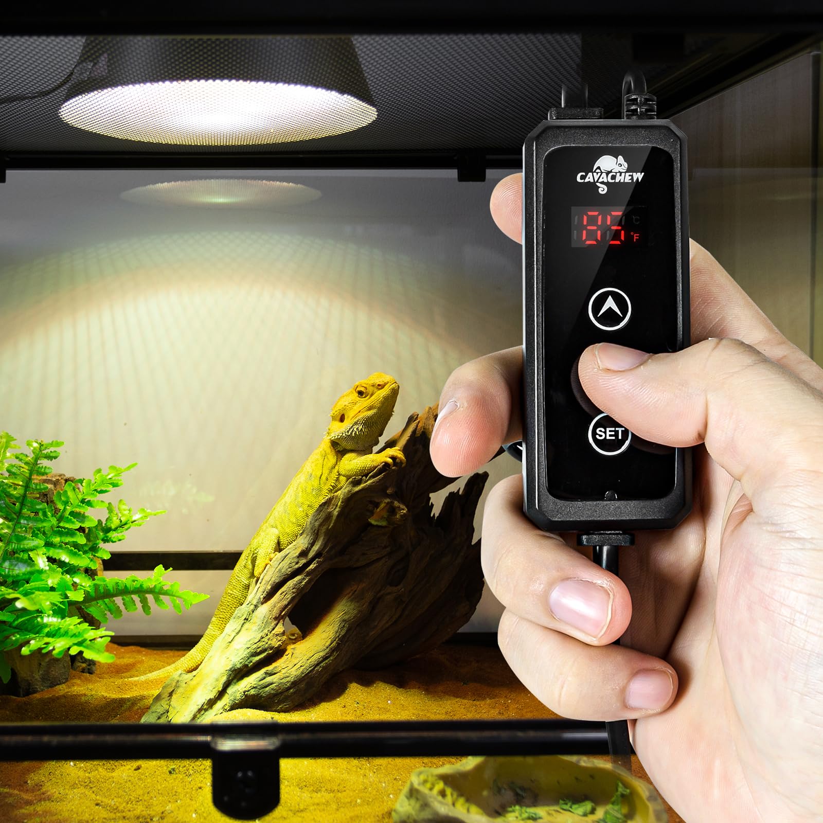 Reptile Dimming Thermostat with 2 pack Dome Lamp Fixture - image 7