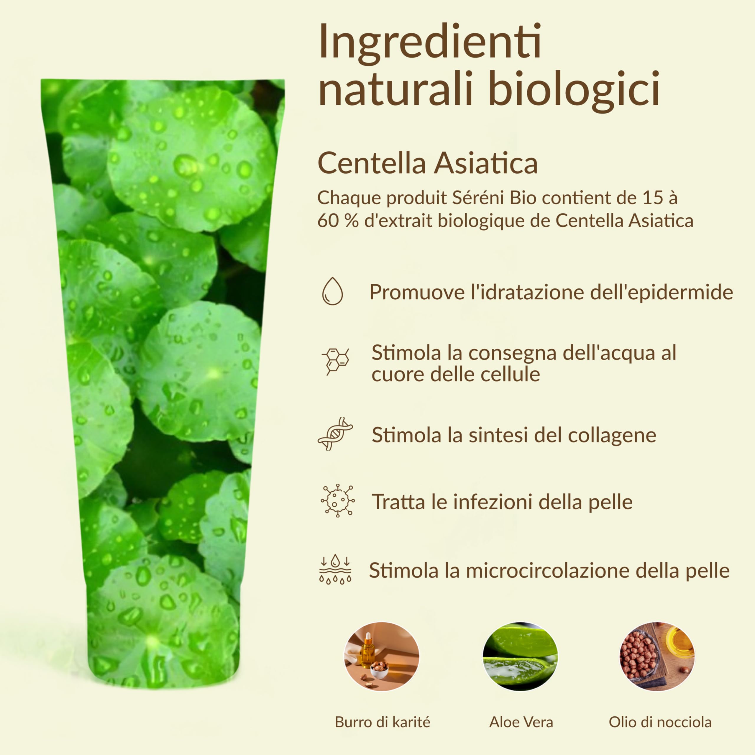 Sérénibio Crema Viso Centella Asiatica - Lenisce, Protegge e Ripristina - Cura Viso Professionale Certificata Bio Vegan e Equosolidale - Crema Idratante per Pelli Ultra Sensibili - 50ml