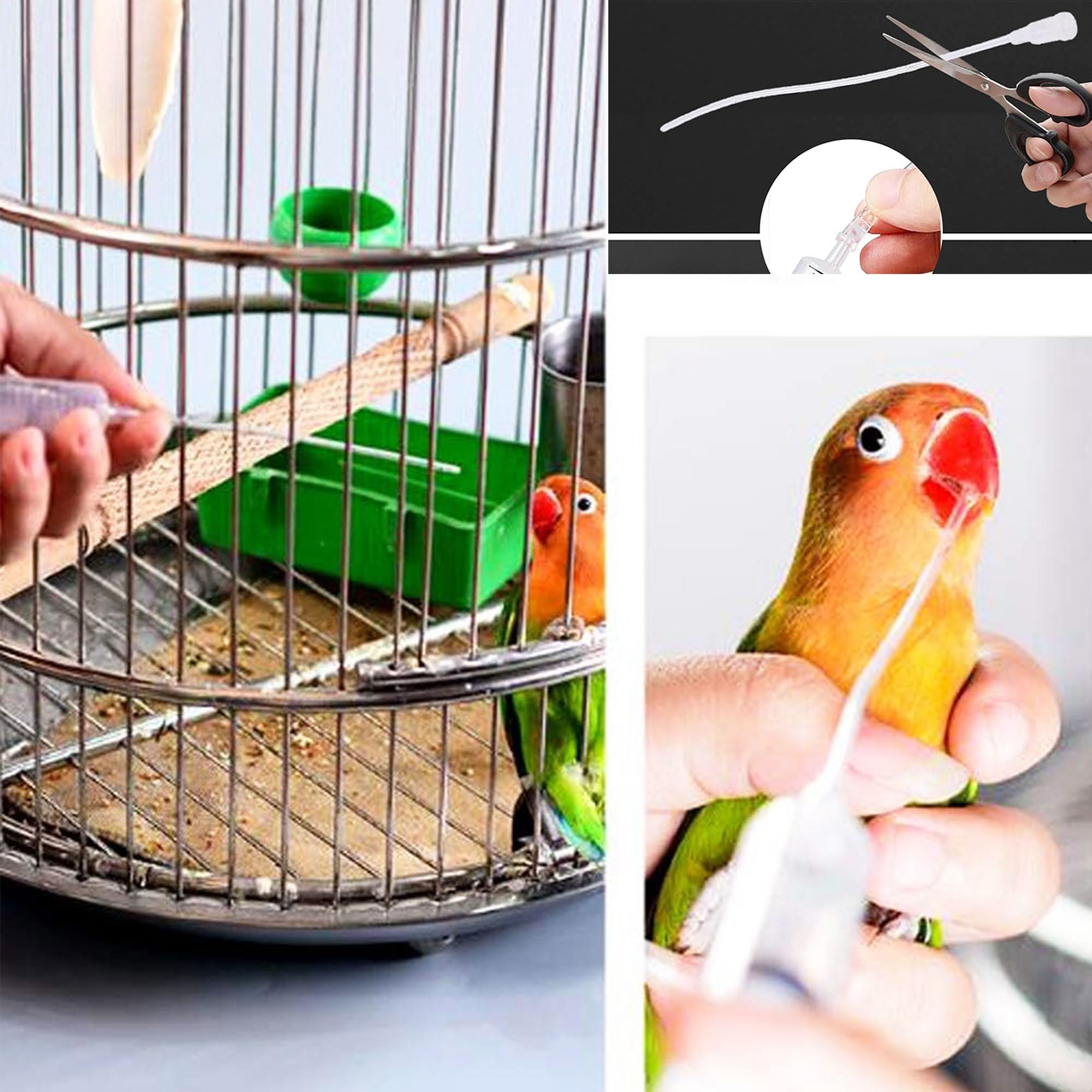 Uccelli Che nutrono siringa Tubo di Alimentazione per Uccelli Giovani siringa da 10 ml Alimentatore Pappagalli Accessori per piccioni siringa con Tubi e cucchiai per Bambino Pet Uccelli (B)