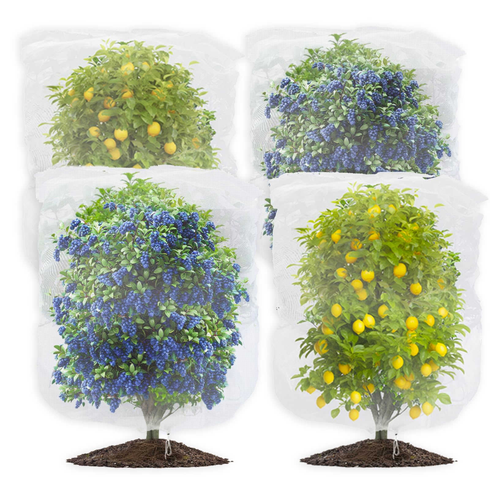 4Pack Fruit Tree Netting Bird Protection, 200x200cm 6.5x6.5ft Fine Mesh Bags Garden Netting for Veg Patch Blueberry Bird Nettings for Trees Bush Nettings Strawberry Fruit Netting