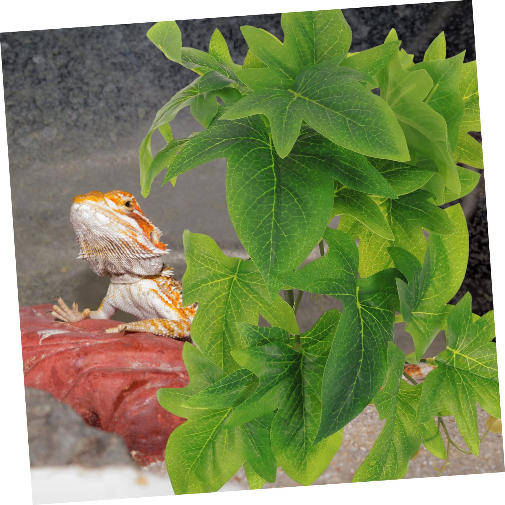BESPORTBLE 5stücke Terrarium Kunstpflanze Wanddeko Für Reptilienbecken Simulierte Pflanze Für Aquarium Terrarium Langlebig Dekorative Kletterpflanze Für Eidechsen Und Schlangen