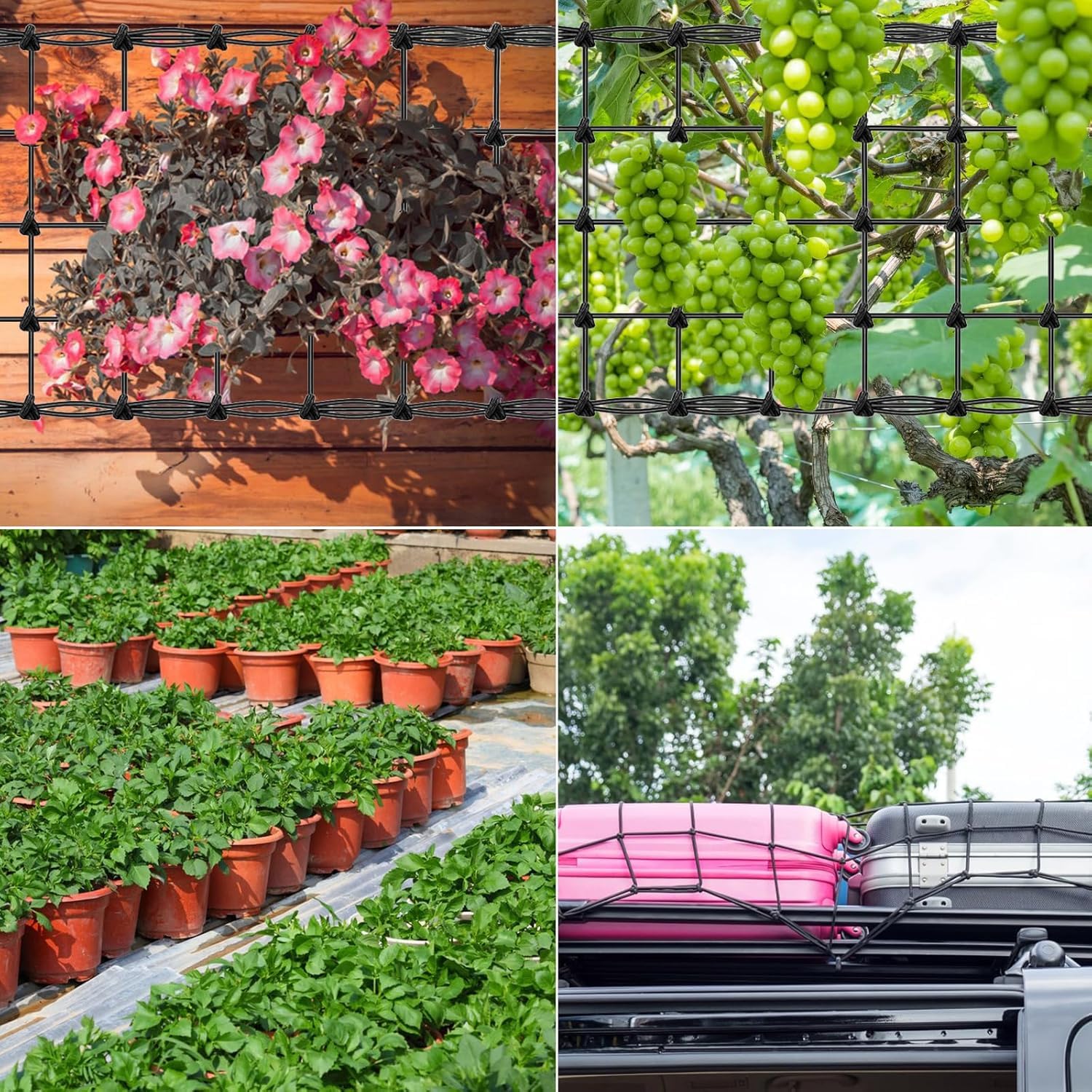 Jardinera Con Celosia Red Para Plantas Trepadoras - Malla Elástica 120x120  Cm Con Ganchos, Ideal Para Huerto Malla Elástica 120x120 Cm Con Ganchos Para  Huerto Jardín, image size:1500x1500