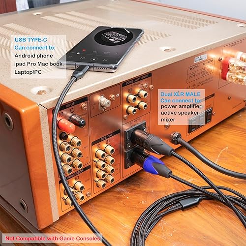 Miniatura 6 de Cable de audio USB C a doble XLR macho, cable de audio USB C a 2 XLR macho de 6 pies, cable USB tipo C a 2 XLR macho, conexión USB, altavoz activo,