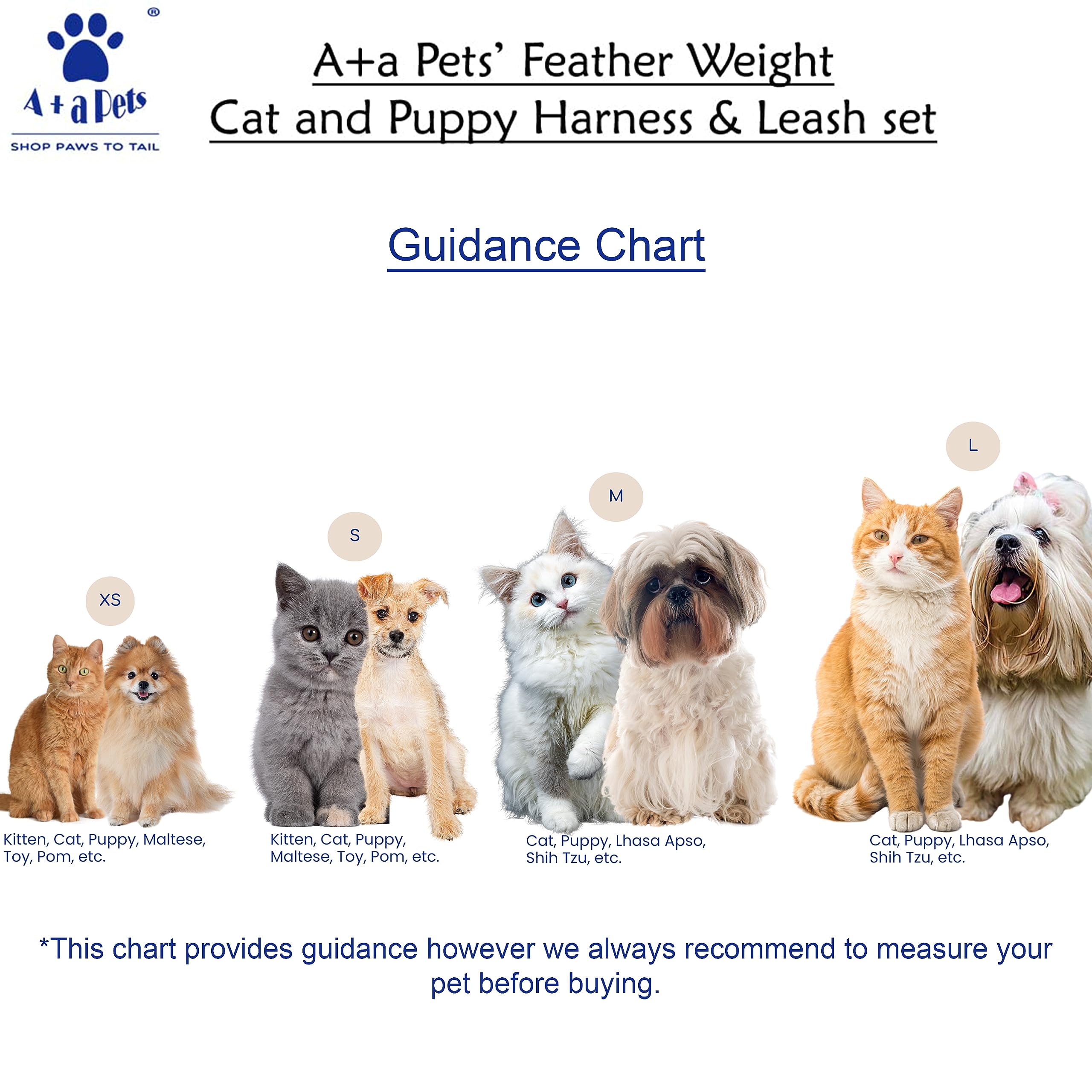 A+a Pets' Feather Weight Cat and Dog Harness & Leash Set β Escape Proof, Adjustable, No Pull, Soft Padded Vest for Persian Cats, Kittens, Small Dogs (Grey, XS) 3