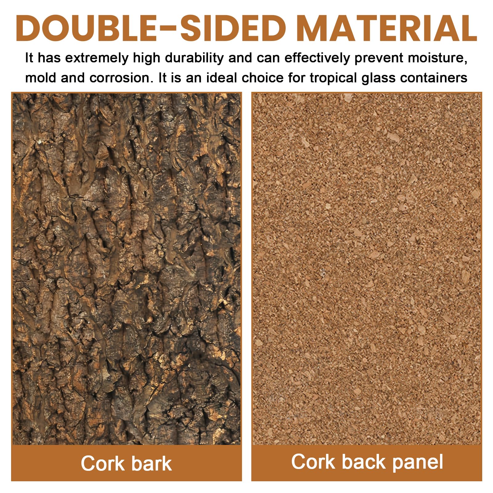 Fond d'écorce de liège pour Terrarium : 2 pièces d'écorce d'aspect Naturel, écorce de liège pour Terrarium, Aspect écorce d'arbre Naturel, liège Noir 100% Naturel, Fond de Carreaux de liège