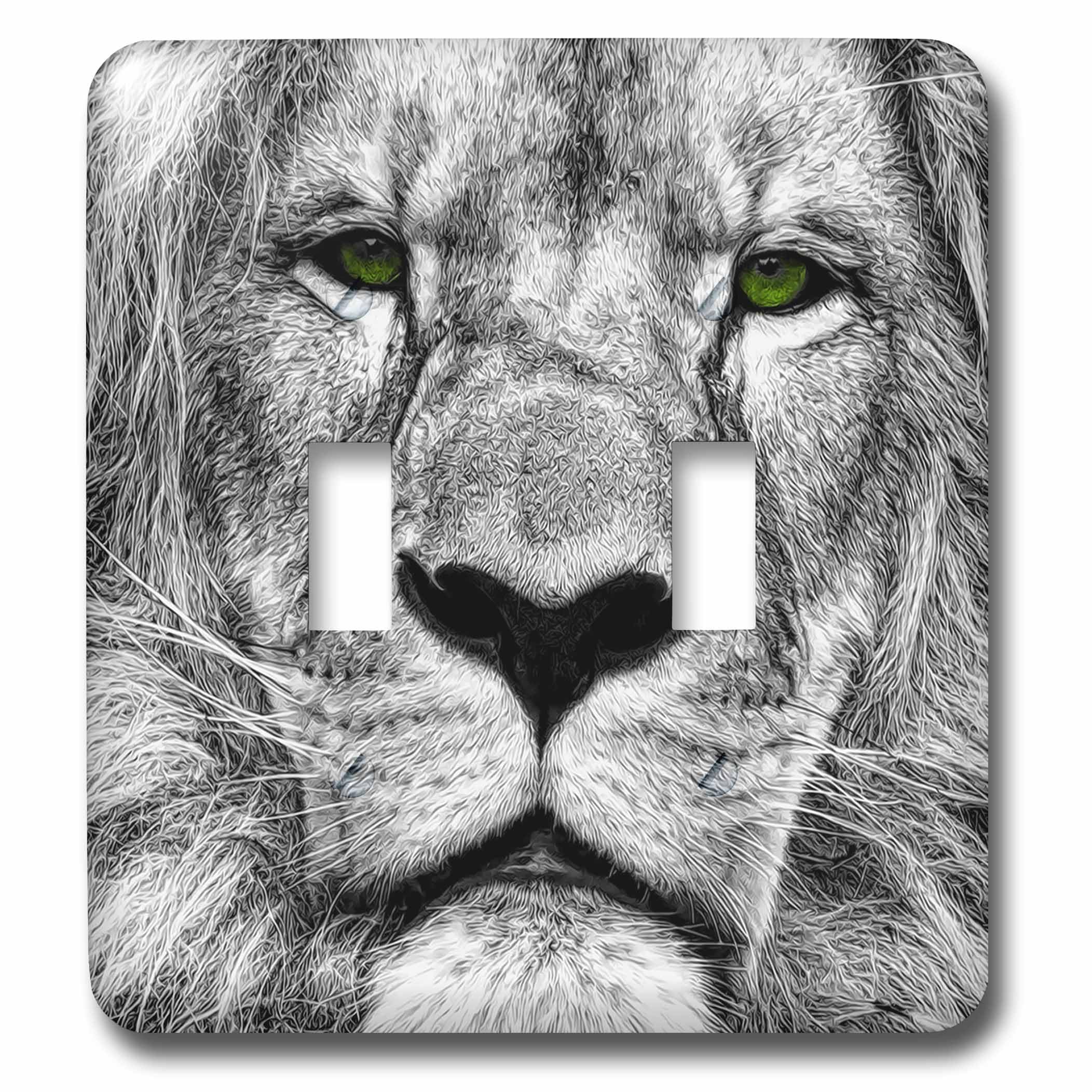Interrupteur double lion africain aux yeux verts 3dRose lsp_164743_2 décoratif