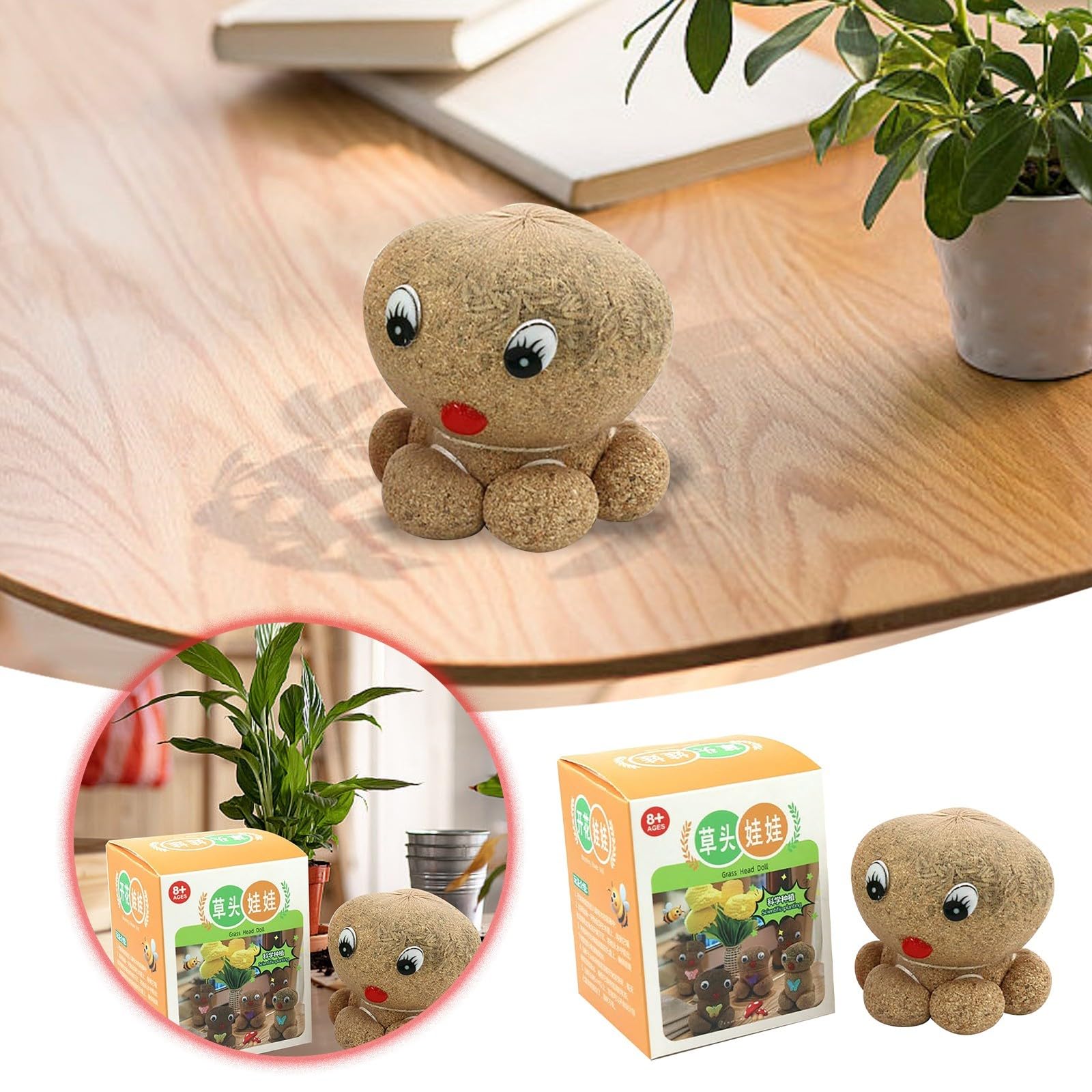 Grass Head Doll Plant Growing Grass Head Doll Grass Head Growing Kit with Trays Small Potted Ornament for Home Garden Decor Supplies