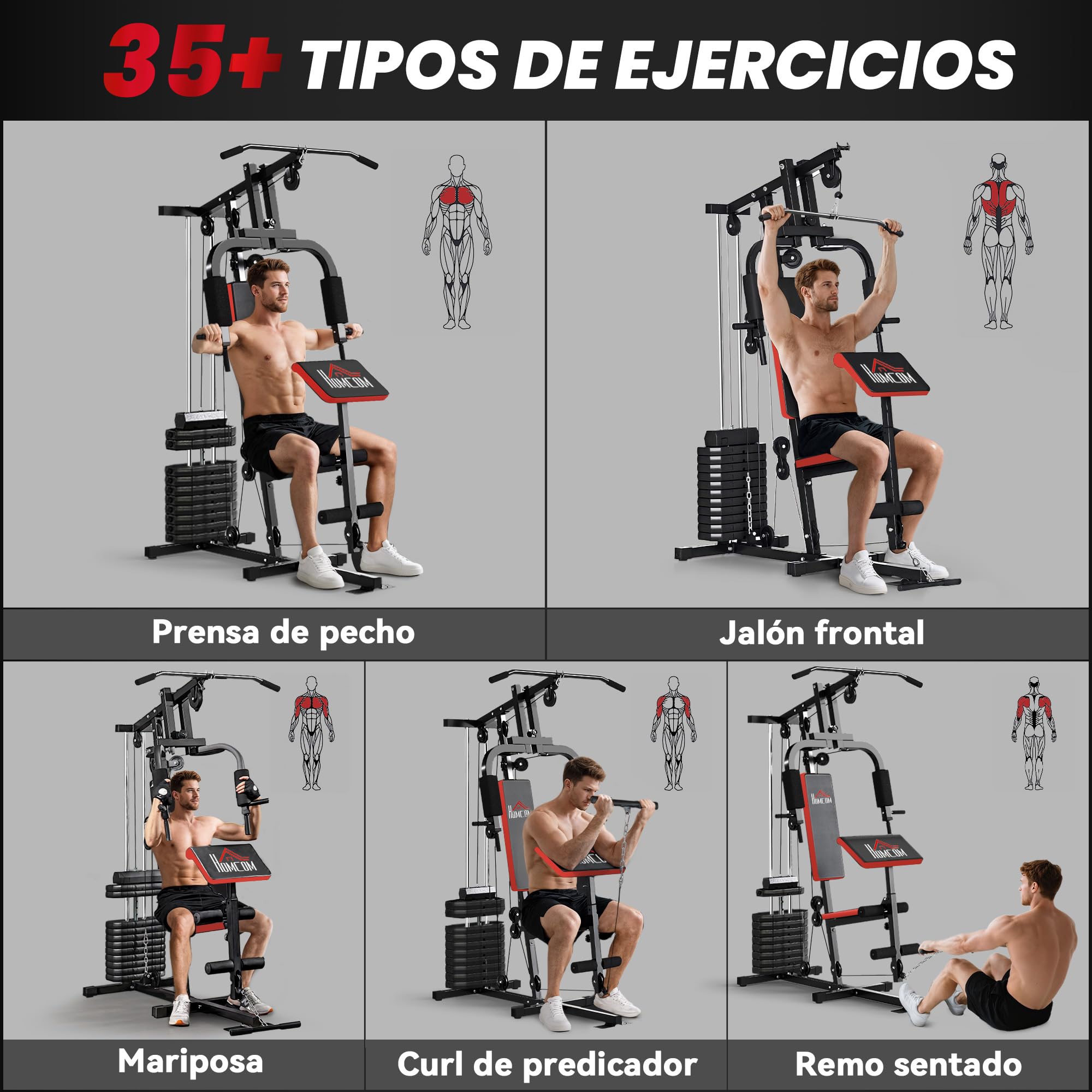 HOMCOM Multiestación de Musculación con Barra Pulldown, Press de Pecho, Prensa de Piernas, Banco Predicador, Placas de Peso 65 kg Máquina de Musculación para Entrenamiento Fitness en Hogar Gimnasio