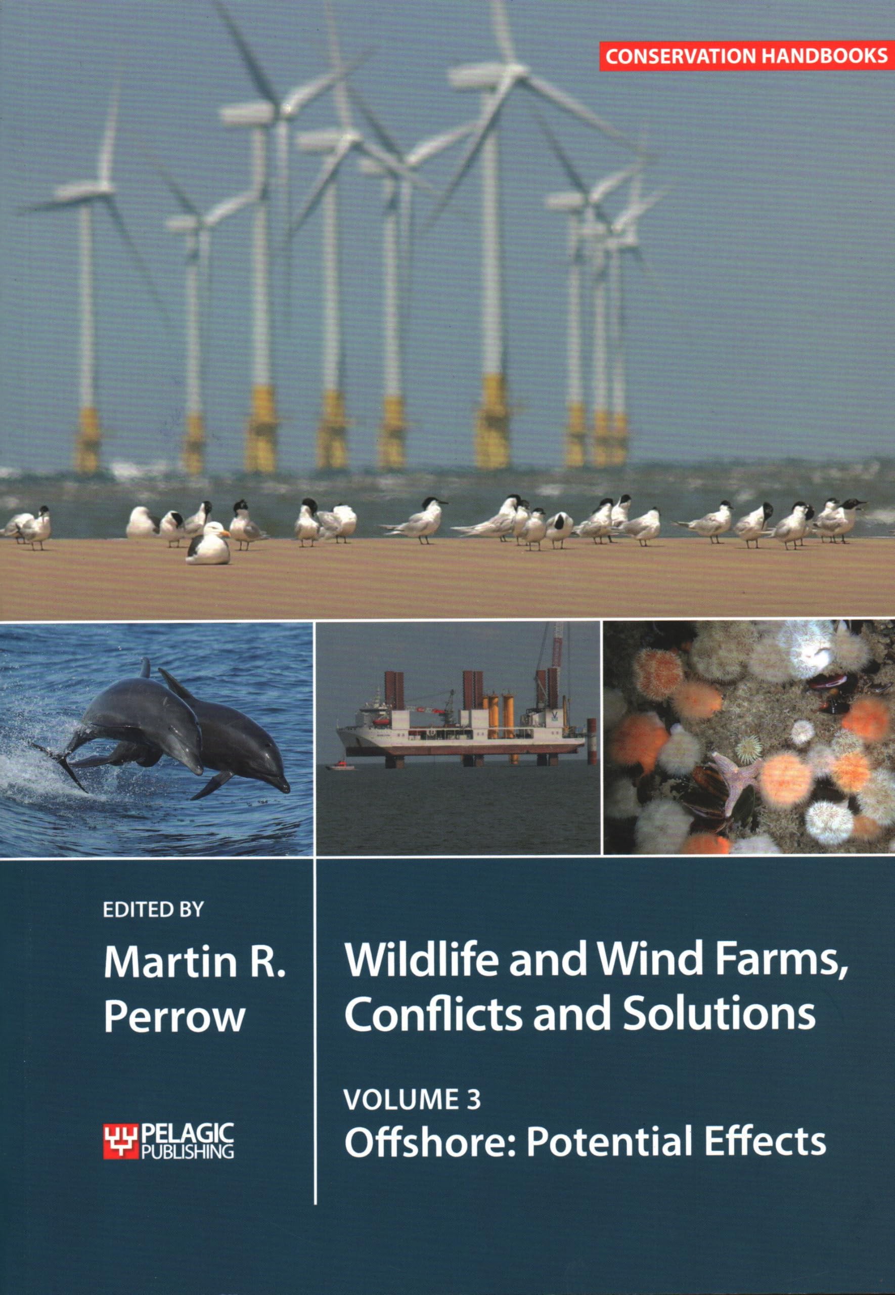 WILDLIFE AND WIND FARMS - CONFLICTS AND SOLUTIONS: OFFSHORE: POTENTIAL EFFECTS: 3