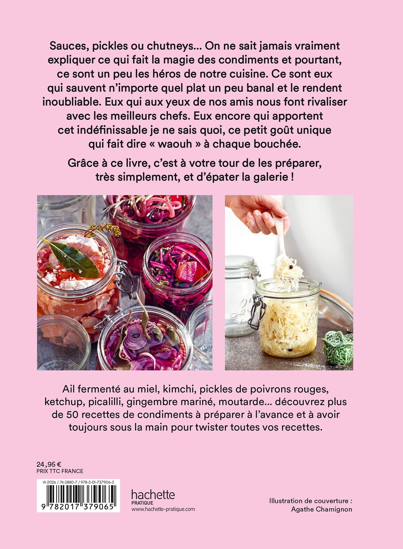 Le livre des condiments: 50 recettes de pickles, condiments et sauces pour rendre les plats inoubliables