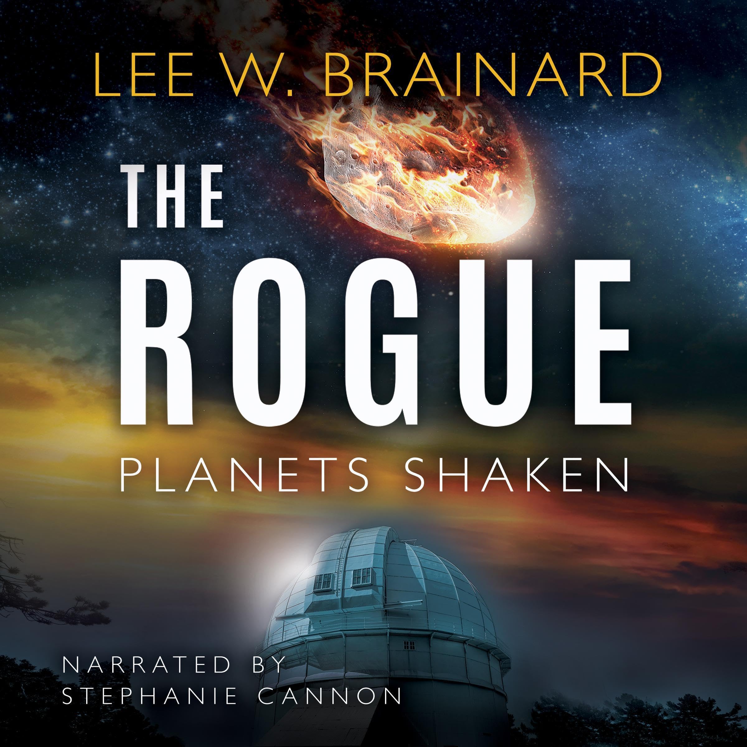 Cover art for The Rogue