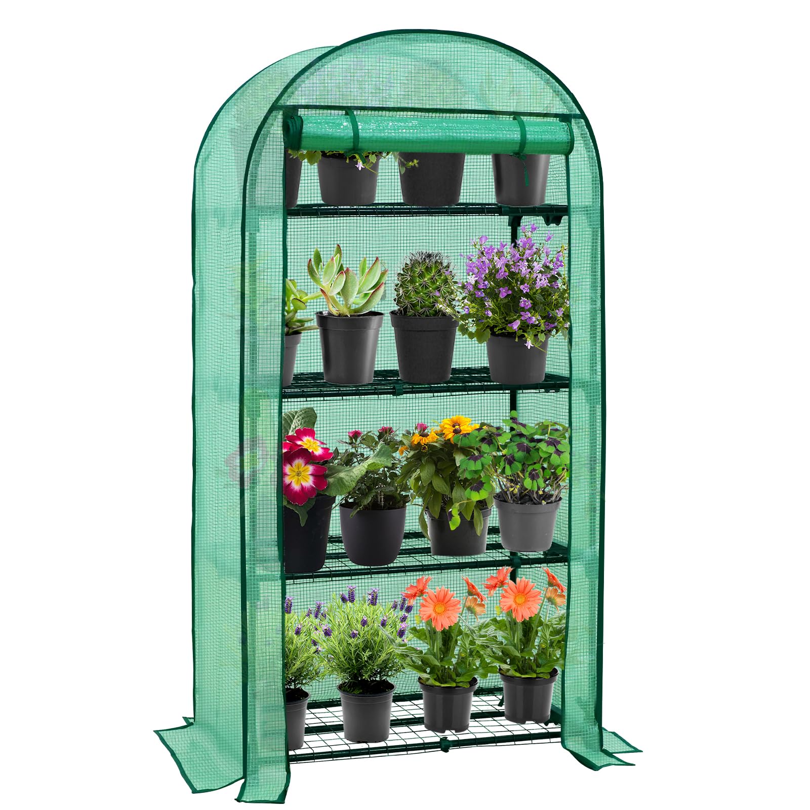 EAGLE PEAK Mini Greenhouse for Indoor Outdoor, 32x18x63 in, Clear/Green PE