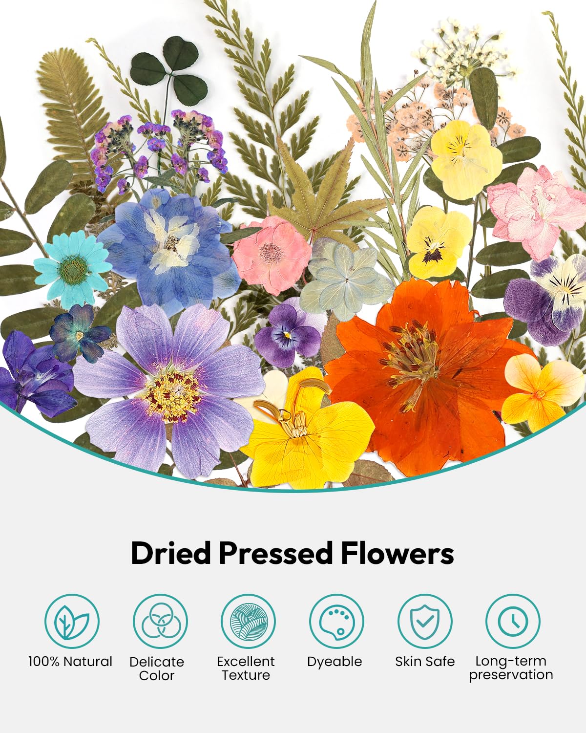 Dried Flowers, Resiners 100Pcs Pressed Flowers for Resin Soap Candle Scrapbook Supplies Card - Image 4