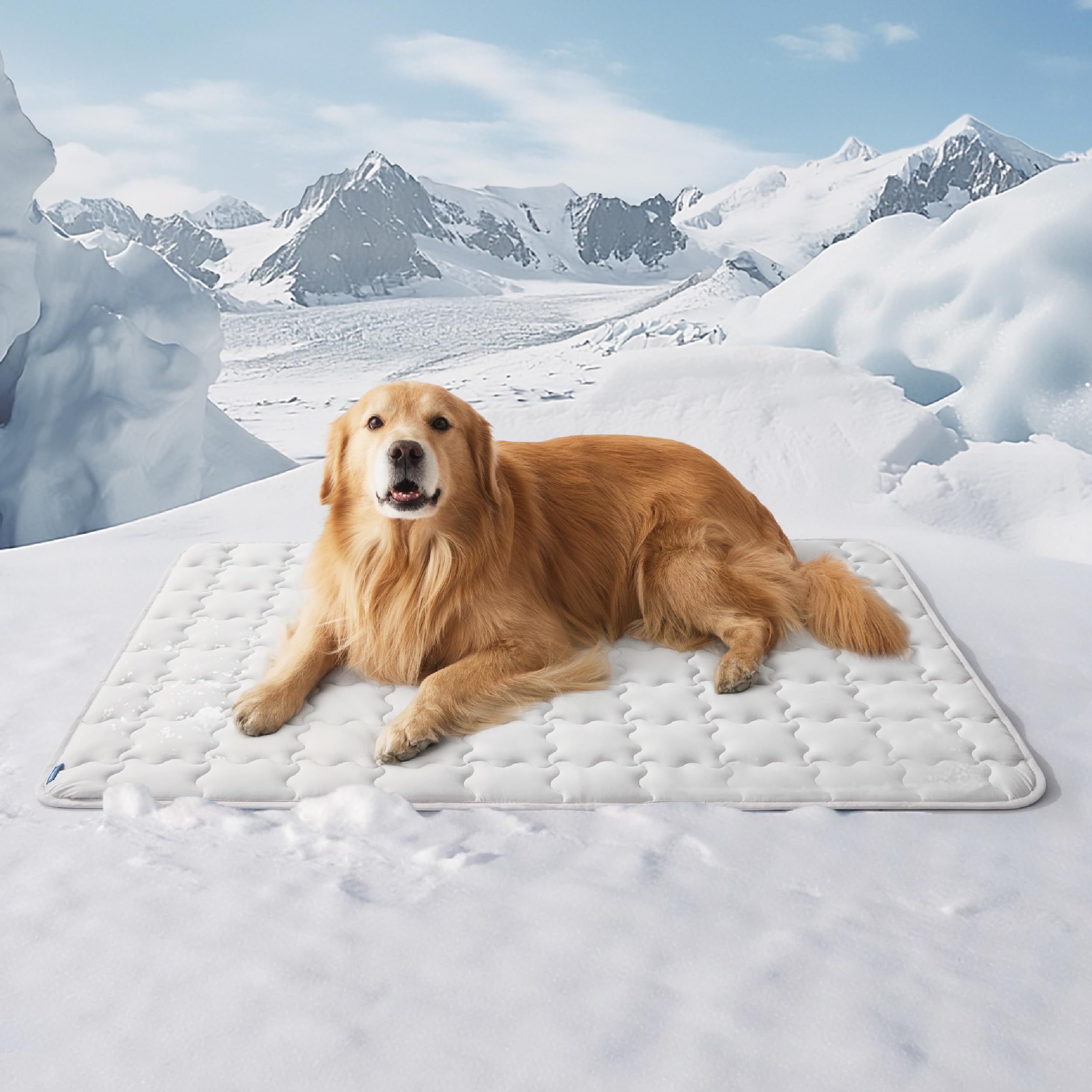 Bedsure Cooling Mat for Large Dogs – 48x30 Thin Washable Cooling Pet Pad for Puppy, QMAX>0.5, XXL Portable Kennel Puppy Bed for Summer, Non-Slip