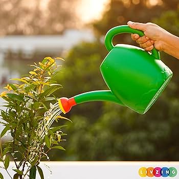 2.5L Litre Small Plastic Watering Can With Long Spout