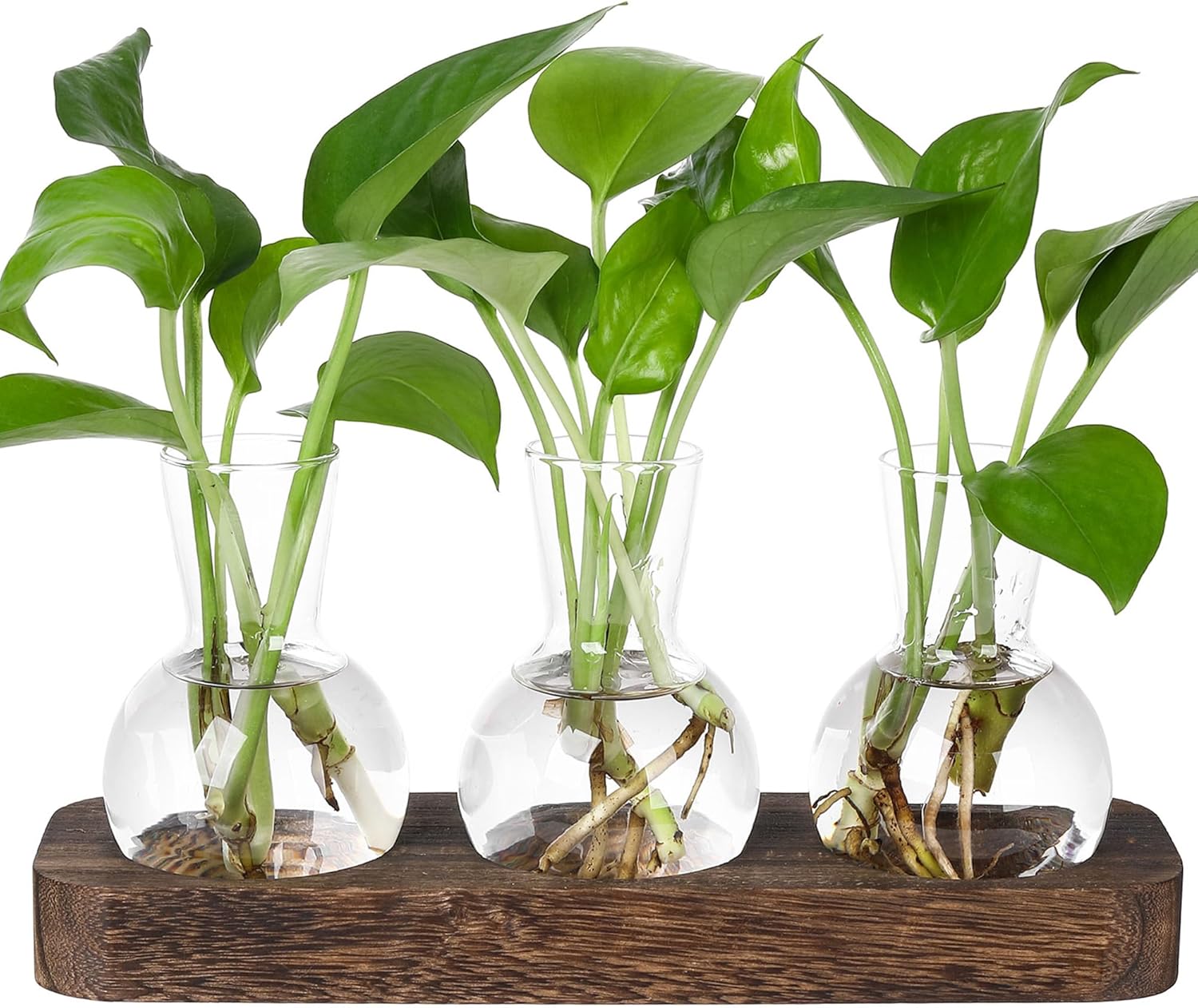 YIBOT Wall Hanging Glass Planter Plant Propagation Vase for Indoor Home Office Living Room Decor Gifts, Plant Terrarium with Wooden Stand-5 Bulb Glass Vases