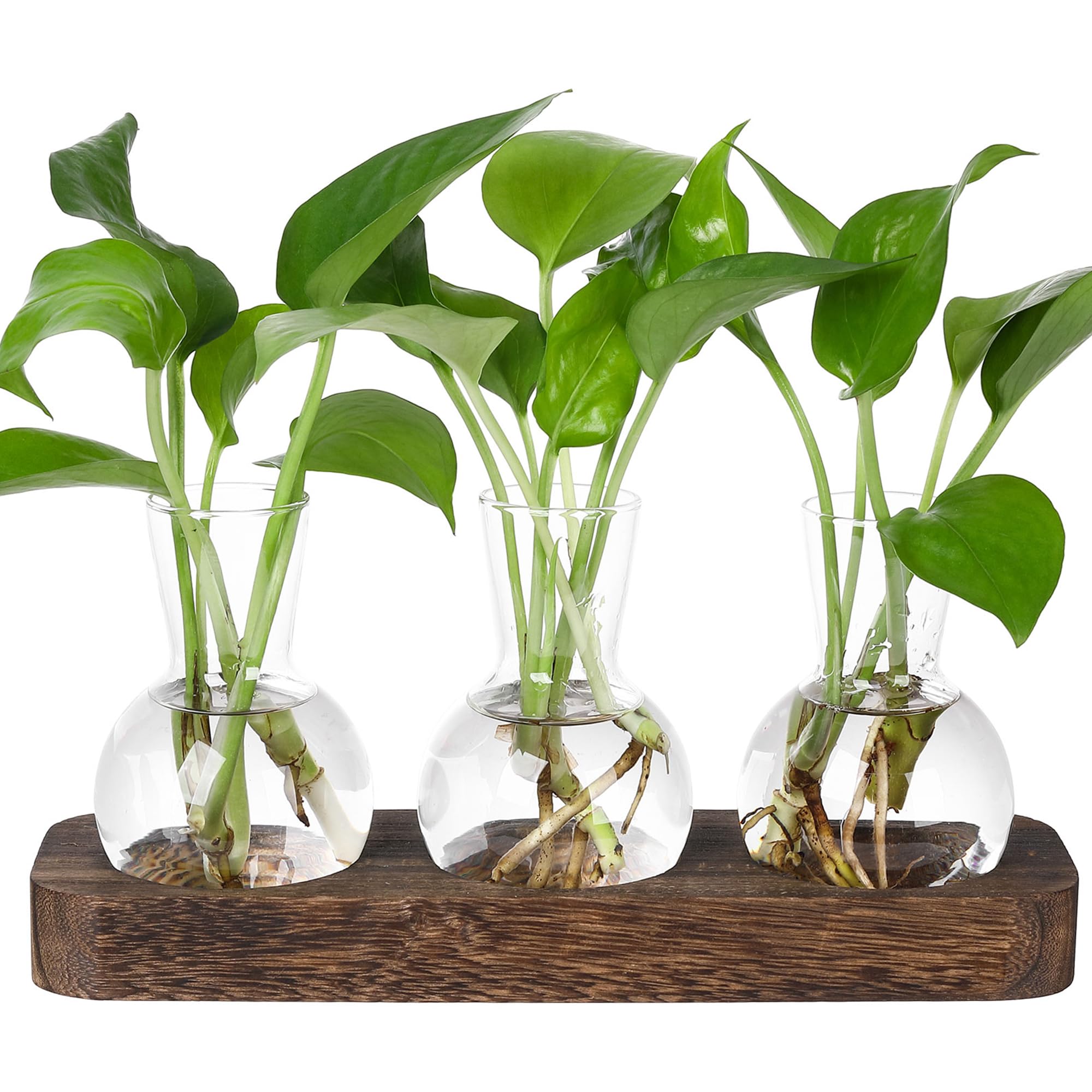 YIBOT Propagation Stations,Plant Propagation Vase,Desk Plant Terrarium with Retro Wooden Stand,Plant Lover Gifts for Women for Hydroponics Plants Home Garden Wedding Decor(3 Vase)