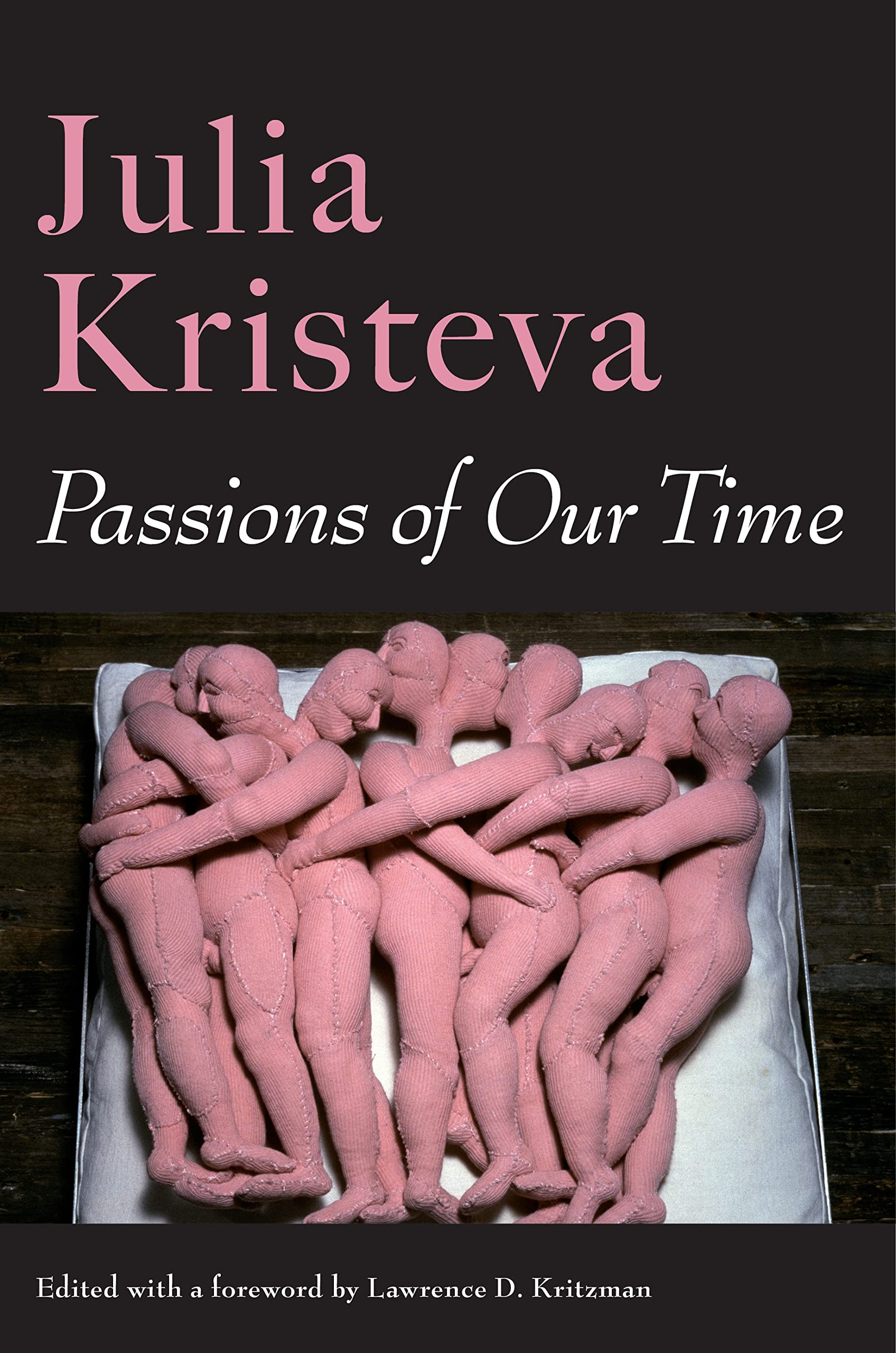 Passions of the Times (European Perspectives: A Series in Social Thought and Cultural Criticism)