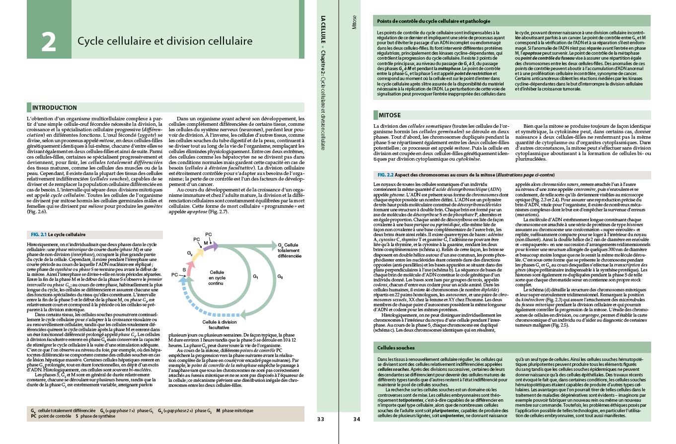 Atlas d'histologie fonctionnelle de Wheater
