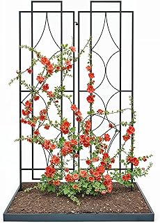 10 Outdoor Patio Trellis Ideas for Shade and Vertical Style 50 IDZO 2-Piece Diamonds Design Decoration Trellis, Metal Decorative Trelli...