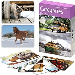Picture My Picture Categories Flash Card Set – Speech Therapy Tool for Vocabulary, Communication & Thinking, Scratch-Resis...