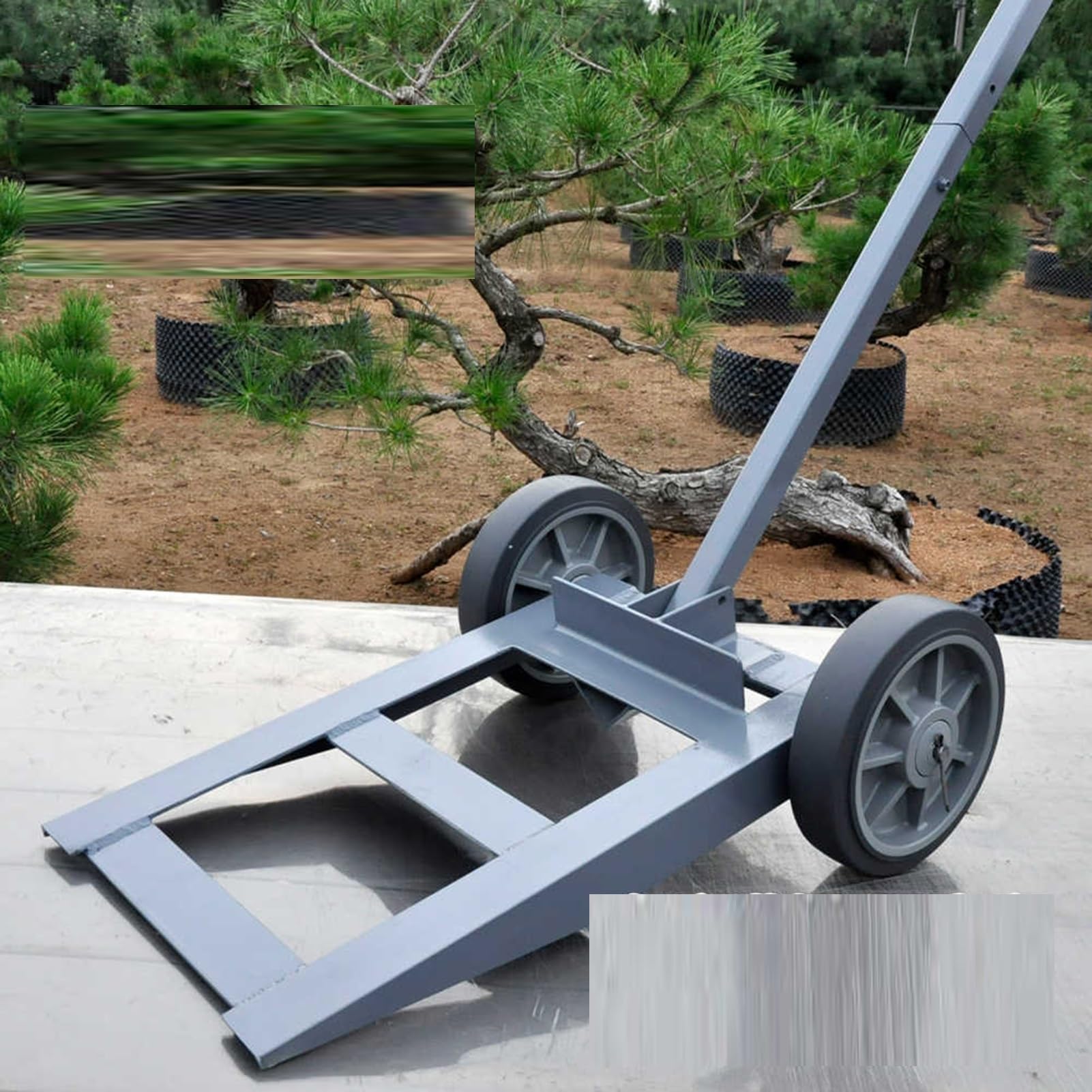 Chariot à plantes avec roulettes, design robuste, capacité de charge maximale de 150 kg, pour l'intérieur et l'extérieur