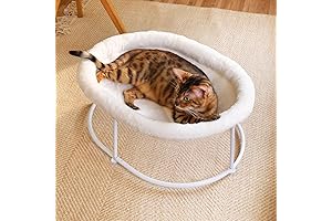 Elevated Cat Hammock Bed: Ultimate Comfort and Warmth for Your Feline Friend
