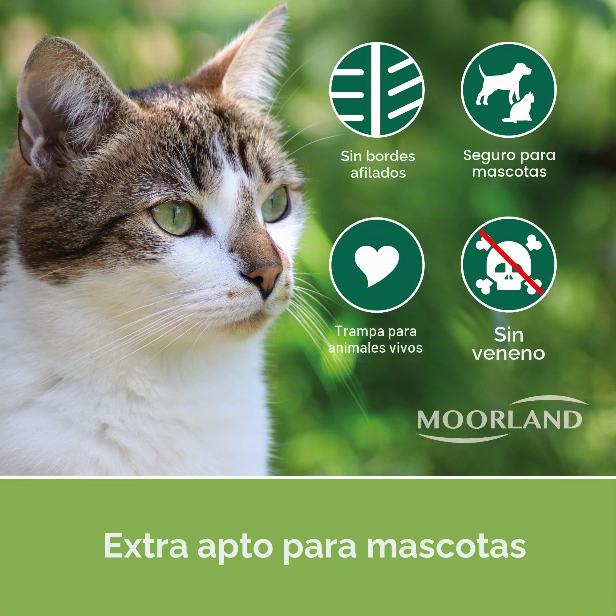 Moorland Trampa Viva XXL para martas con 2 entradas Reutilizable Caja Gatos | 100x25x25cm de animales para zorros estable y respetuosa ratas jaula captura Safe 5007