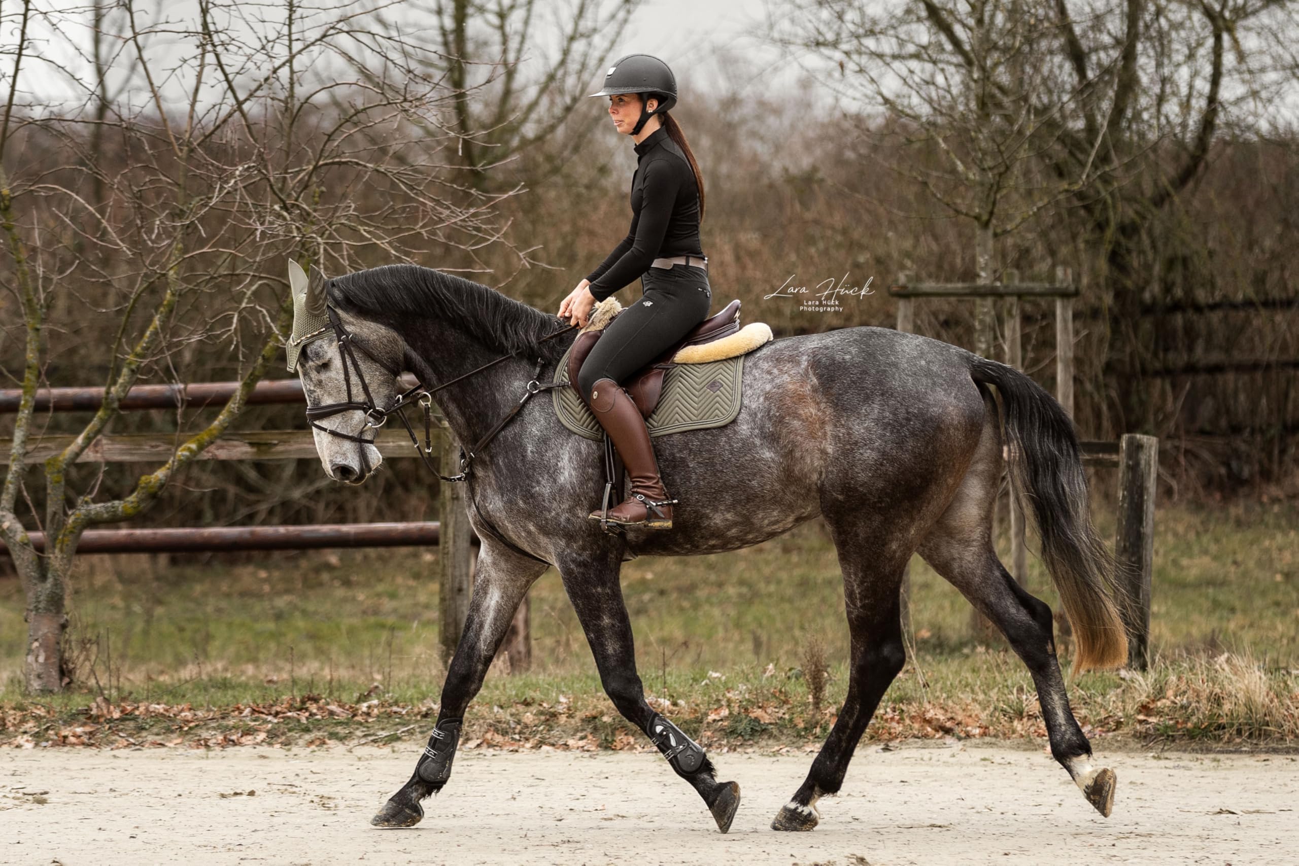 Spring Schabracke Set Sage 2-teilig – Springschabracke & Fliegenhaube – Atmungsaktiv, rutschfest & Strapazierfähig – Elegantes Reitsport Turnier Set Warmblut/Full – Classic Sage