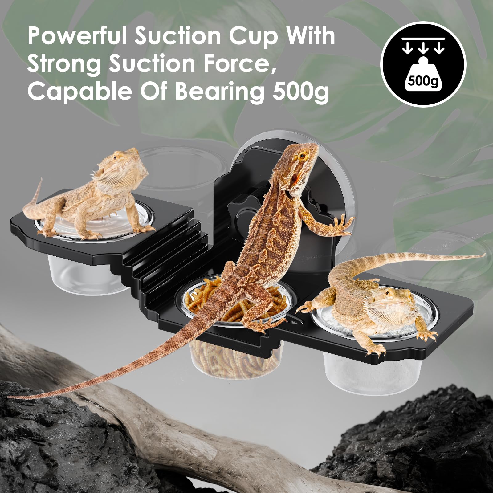 Crested Gecko-Futterstation, Reptilien-Futterstation mit 6 Bechern, Reptilien-Wassernapf für Bartagamen, Eidechsenschlange, für Reptilien, Futter und Wasserfütterung, Schwarz