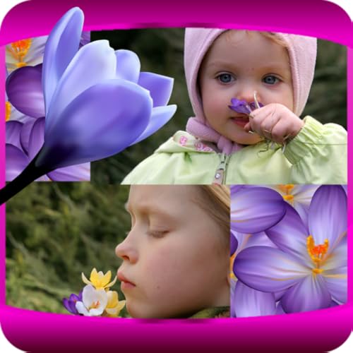 Crocus Photo Collage