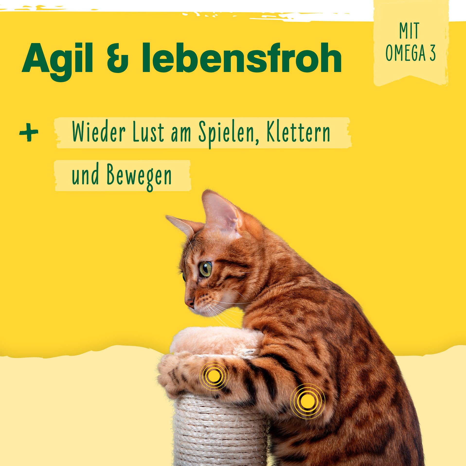 Ida Plus - 100% polvo de mejillón verde para gatos -100 g - mejillón de labios verde para apoyar la función articular - Grasa completa - Sin aditivos - con glicosamaminoglicanos omega 3