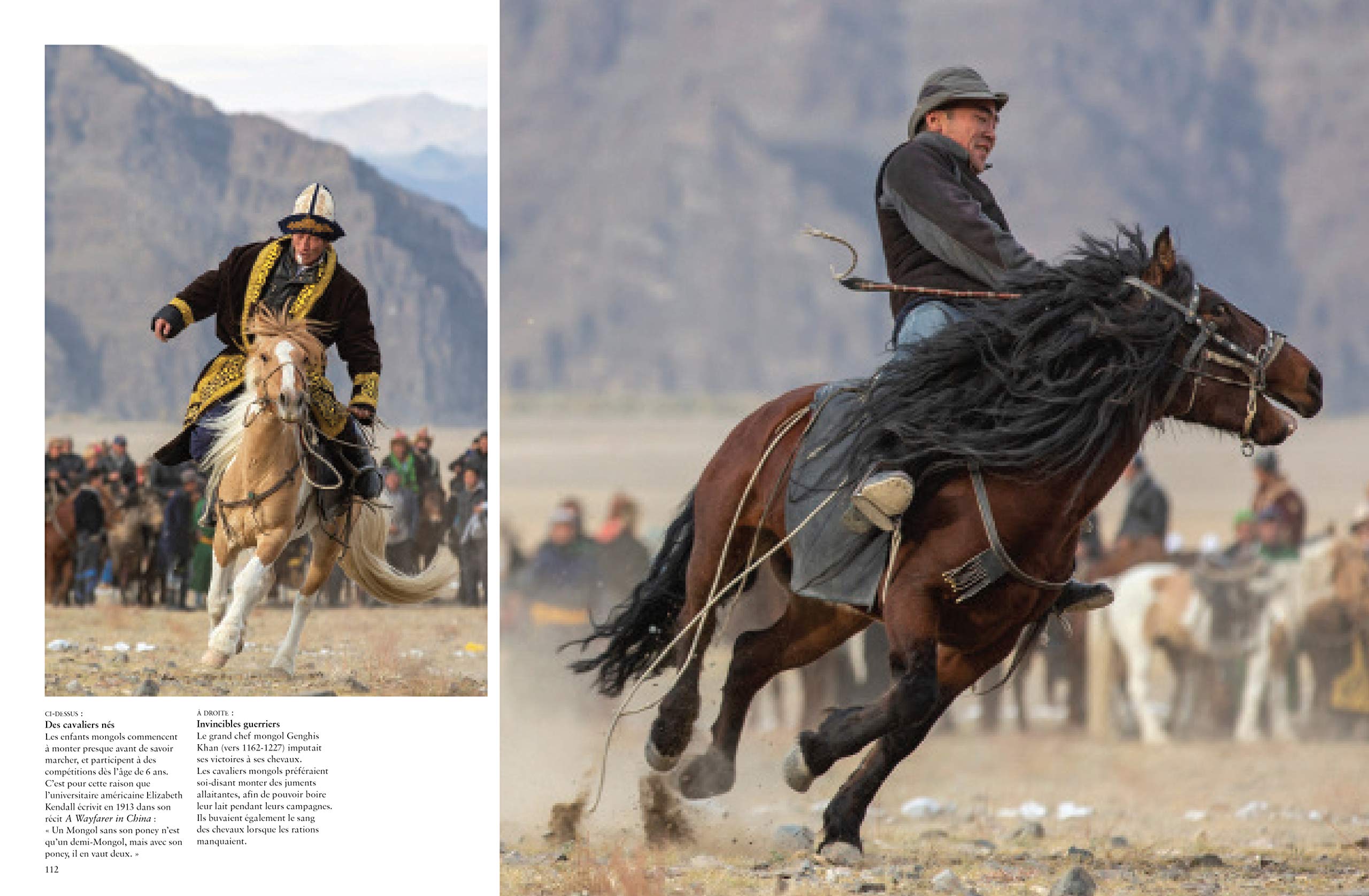 Les Chevaux: Libres et fidèles