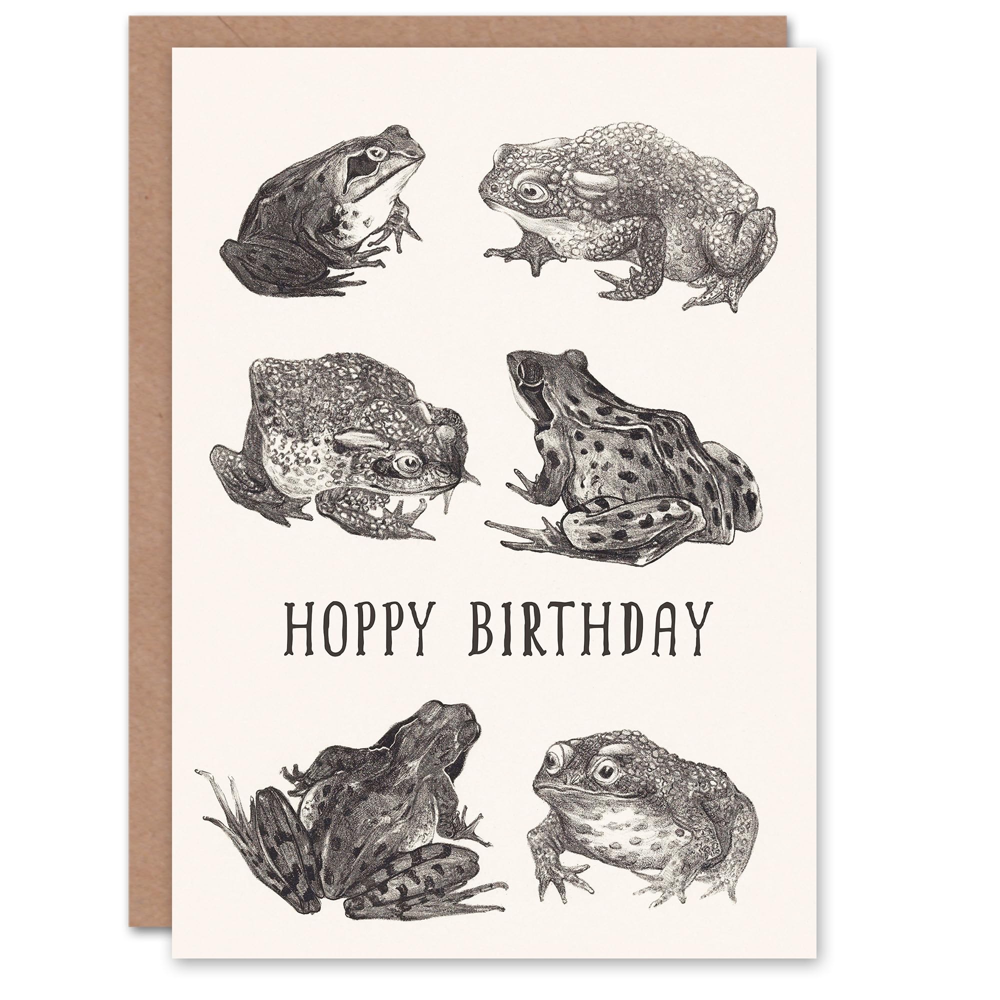 Artery8 Theo van Hoytema Birthday Card Six Frogs and Toads Drawing