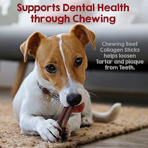 Miniatura 5 de Riley's Palitos de colágeno de carne de res de 12 pulgadas para perros, masticables de colágeno para perros, Bully Stick y alternativa de cuero