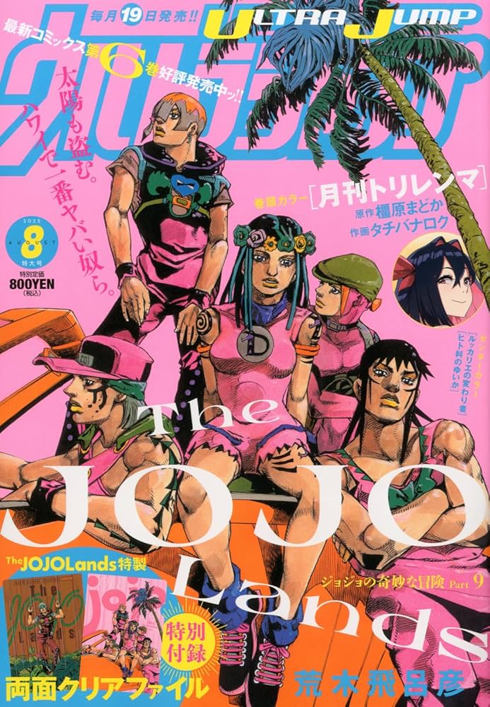 BASTARD ウルトラジャンプ2004 6月 23巻着せ替えブックカバー BASTARD ウルトラジャンプ2004 6月 23巻着せ替えブックカバー BASTARD