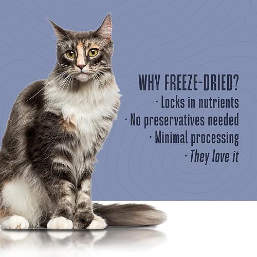 Miniatura 5 de Whole Life - Suplementos diarios diarios para el intestino para mascotas, probióticos para gatos para aliviar el estreñimiento, antidiarrea, remedio