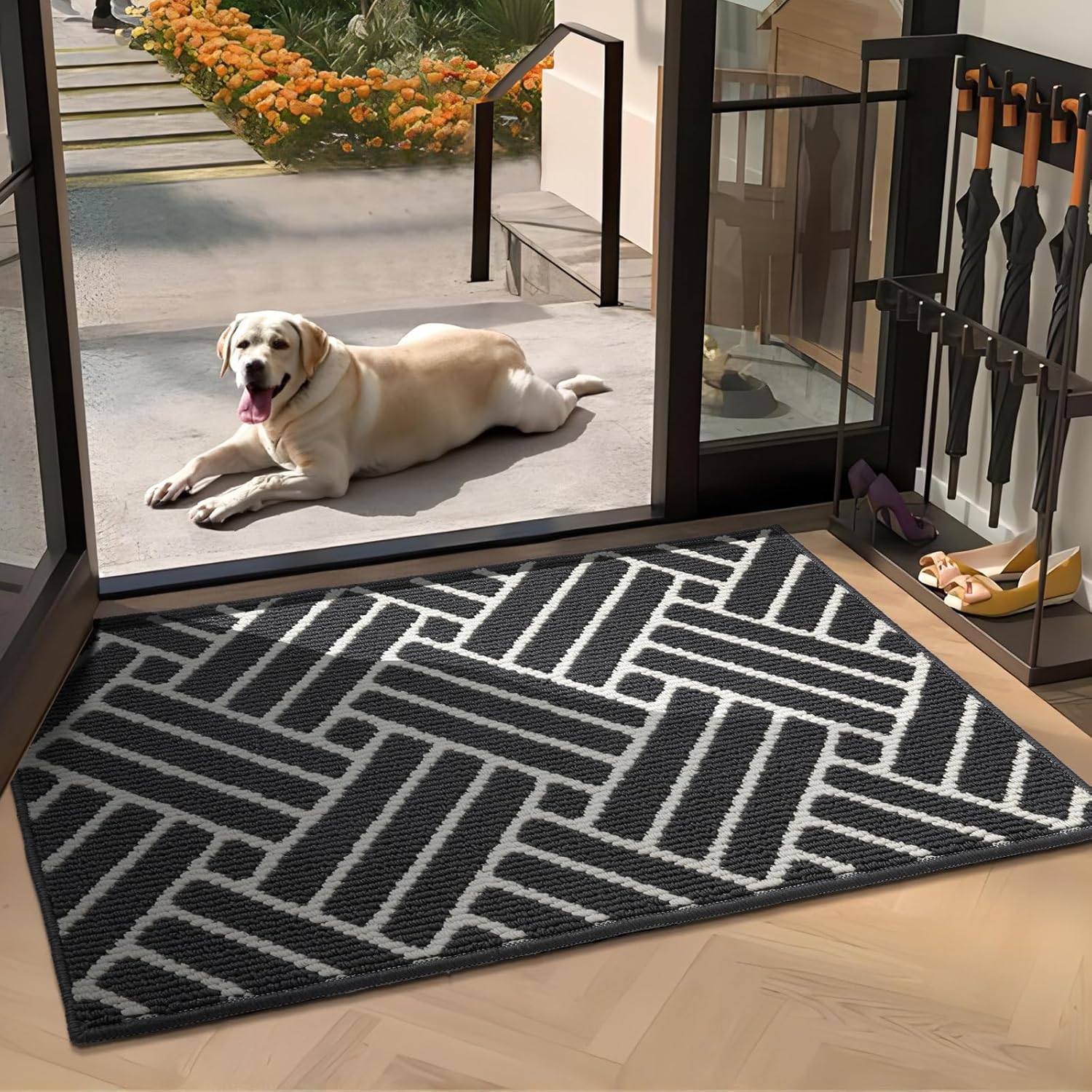 JEEDOVIA Door Mat Indoor Mat, Entryway Rug Door Mats Non