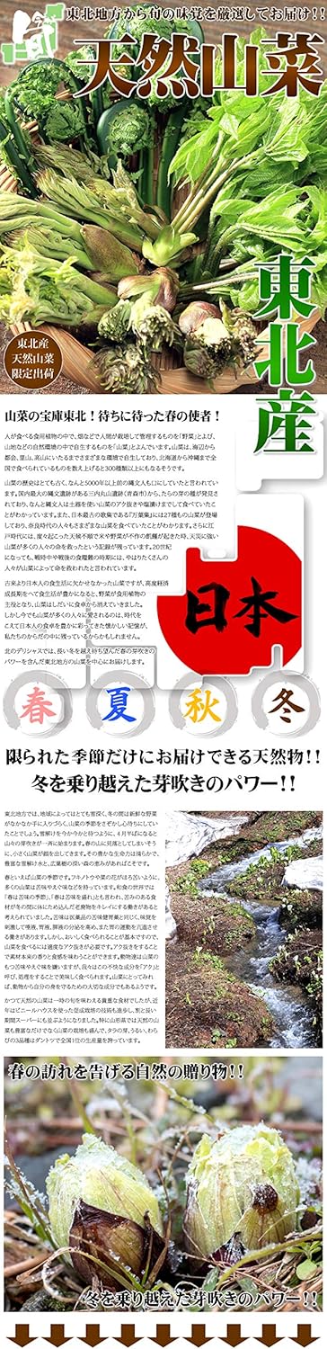 送料無料 KO様専用 トゲ有りタラの芽 gpstiger.com