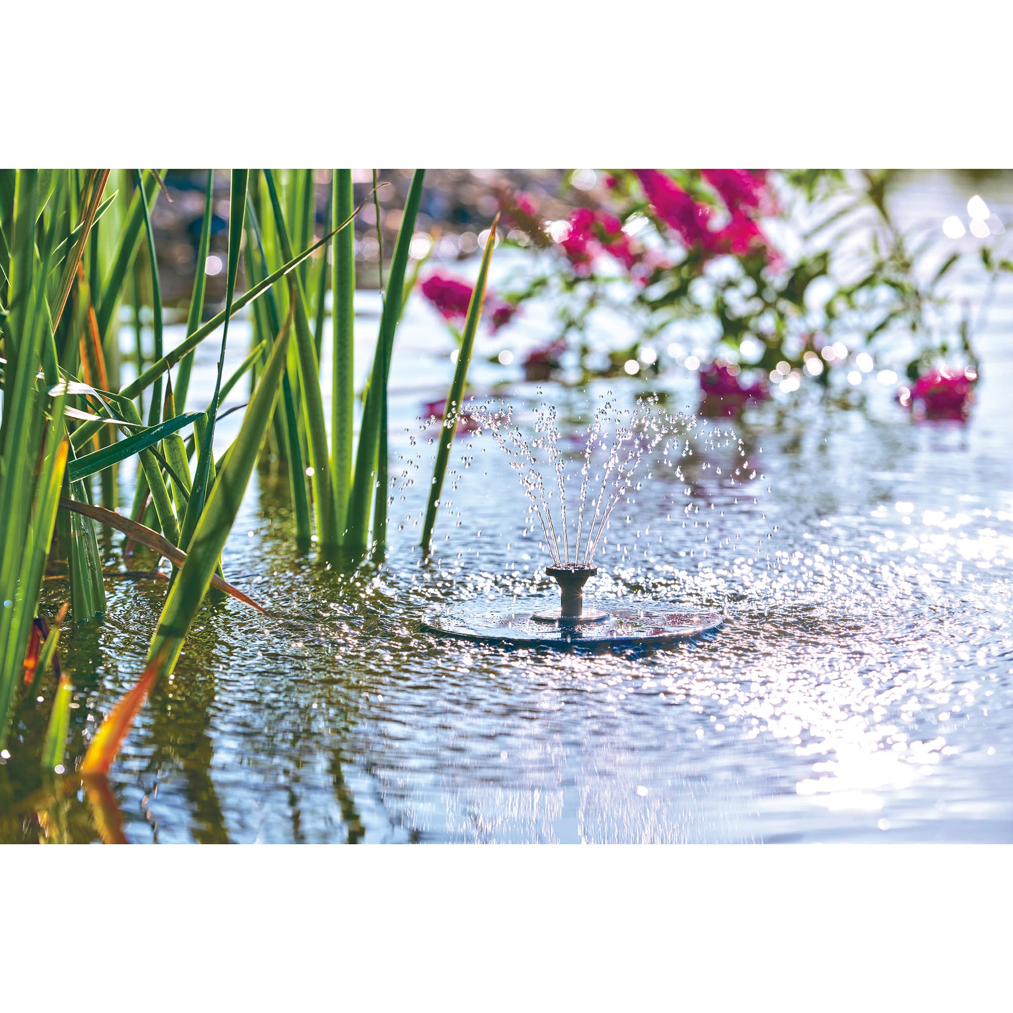 Pontec PondoSolar LED Island Pompe de jeu d'eau solaire avec LED et batterie Fontaine solaire pour étang et petit jardin