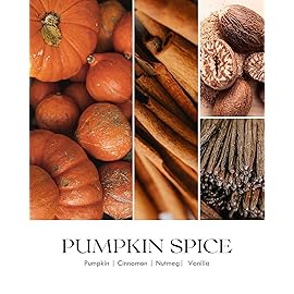 AOOVOO Pumpkin Scented Candles for Women - Aromatherapy Candle with Crystals Inside, 10oz Soy Candles for Home Scented, Birthday Gifts Candle for Women Mom