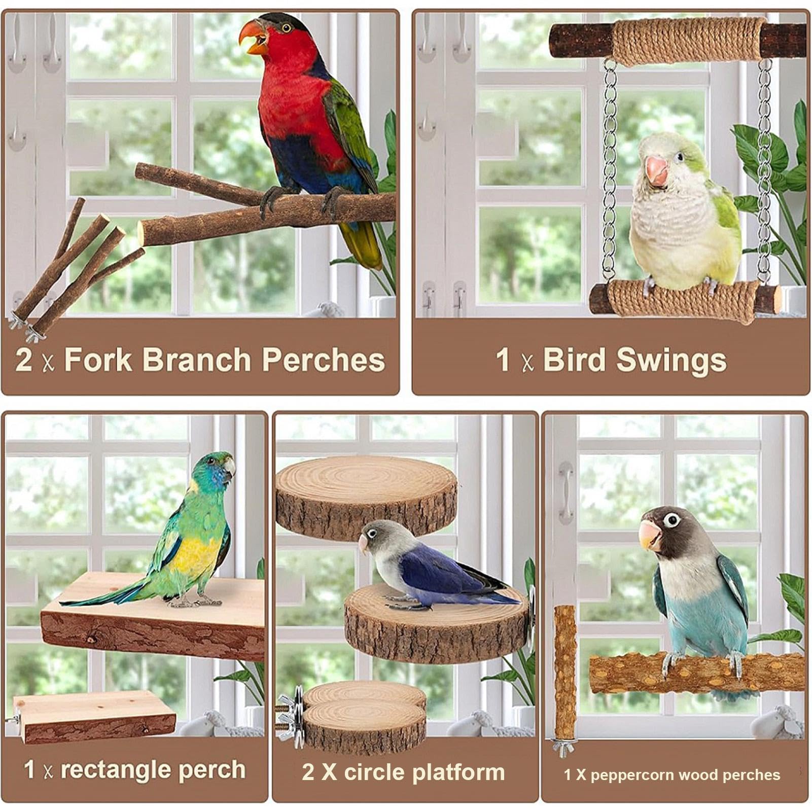 Perchoirs Pour Oiseaux De Cage Set plateau repos oiseaux en bois