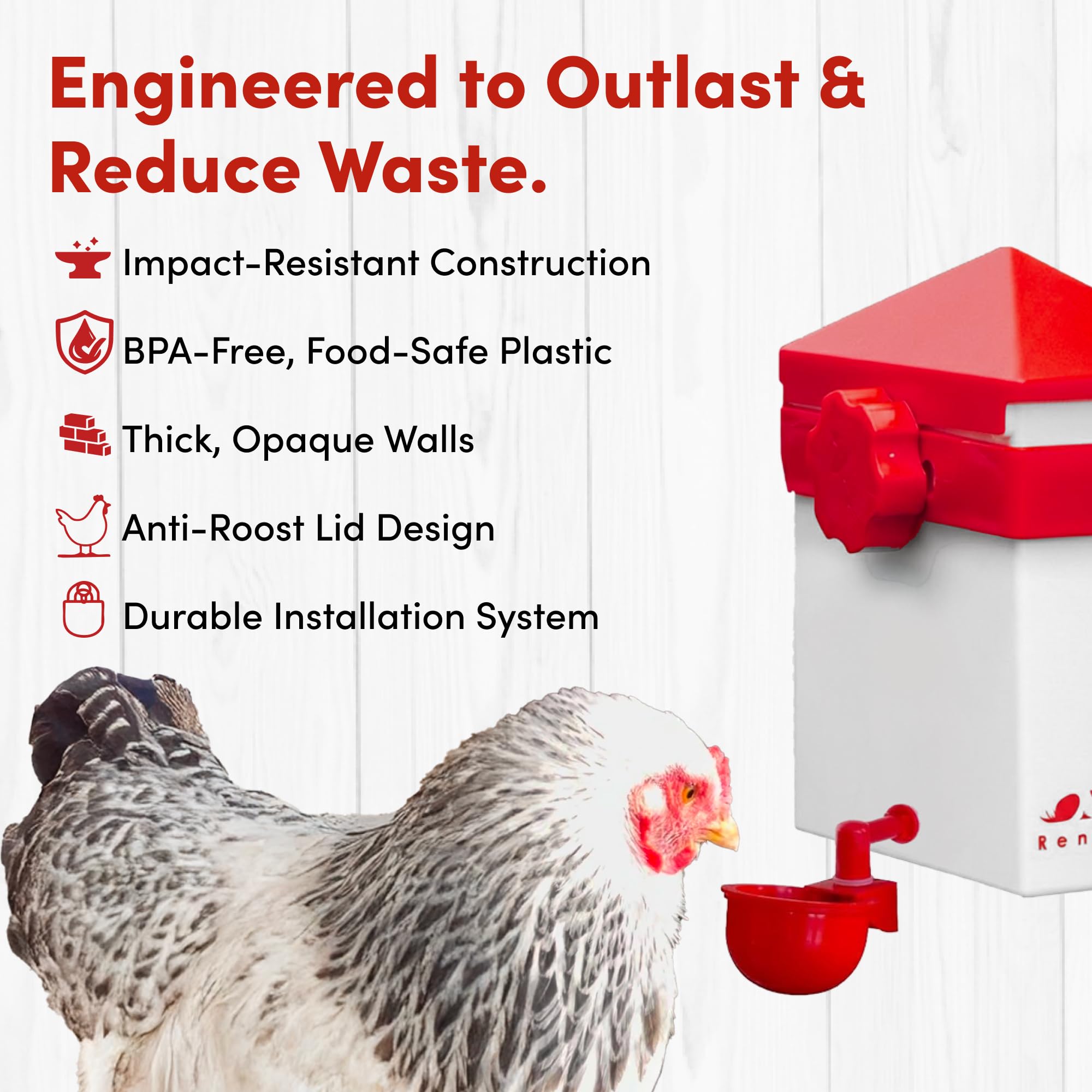 RentACoop Chick2Chicken Futterstation mit mittelgroßem Portwein, 2 Liter, für Küken, Hühner, Wachteln und andere kleine Vögel, 1,1 kg
