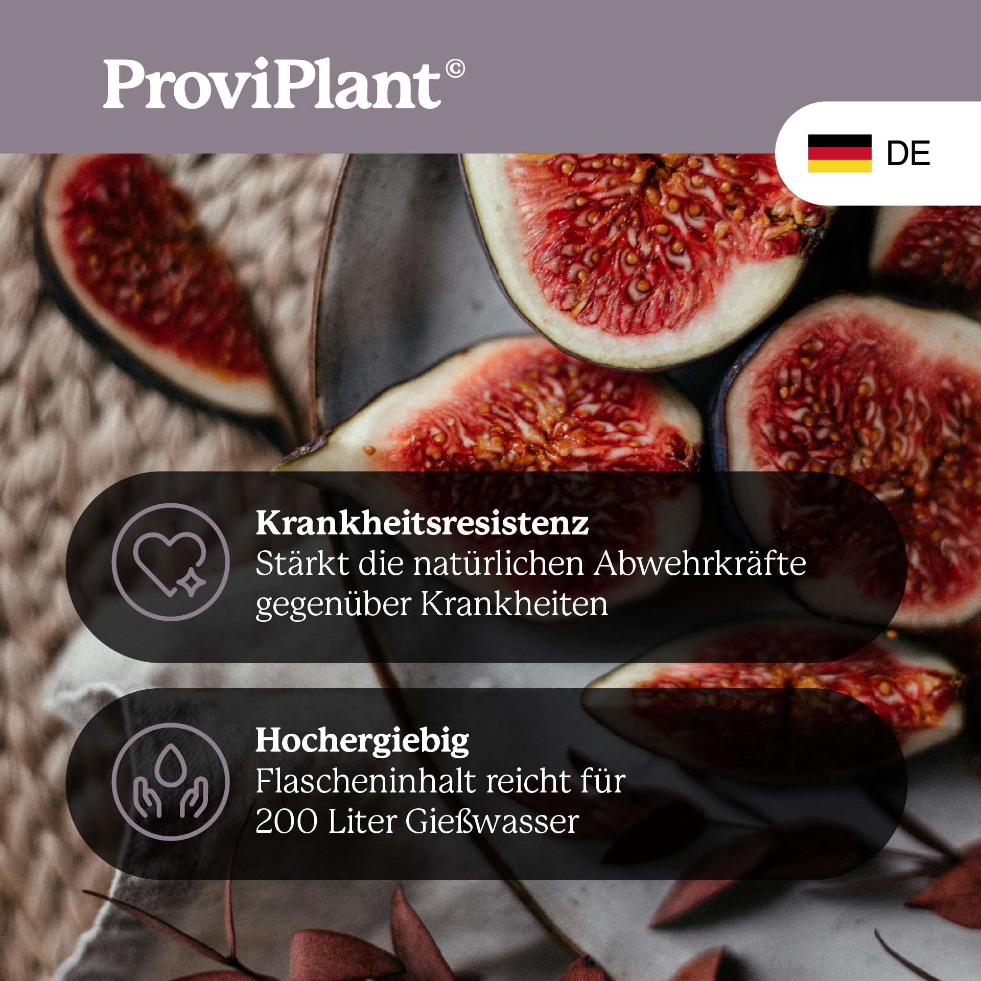 Fichi fertilizzante – 1 litro di fertilizzante speciale specie di fichi (Ficus) ed erbe per interni ed esterni di qualità professionale – Alta efficienza – 200 litri di acqua – Made in