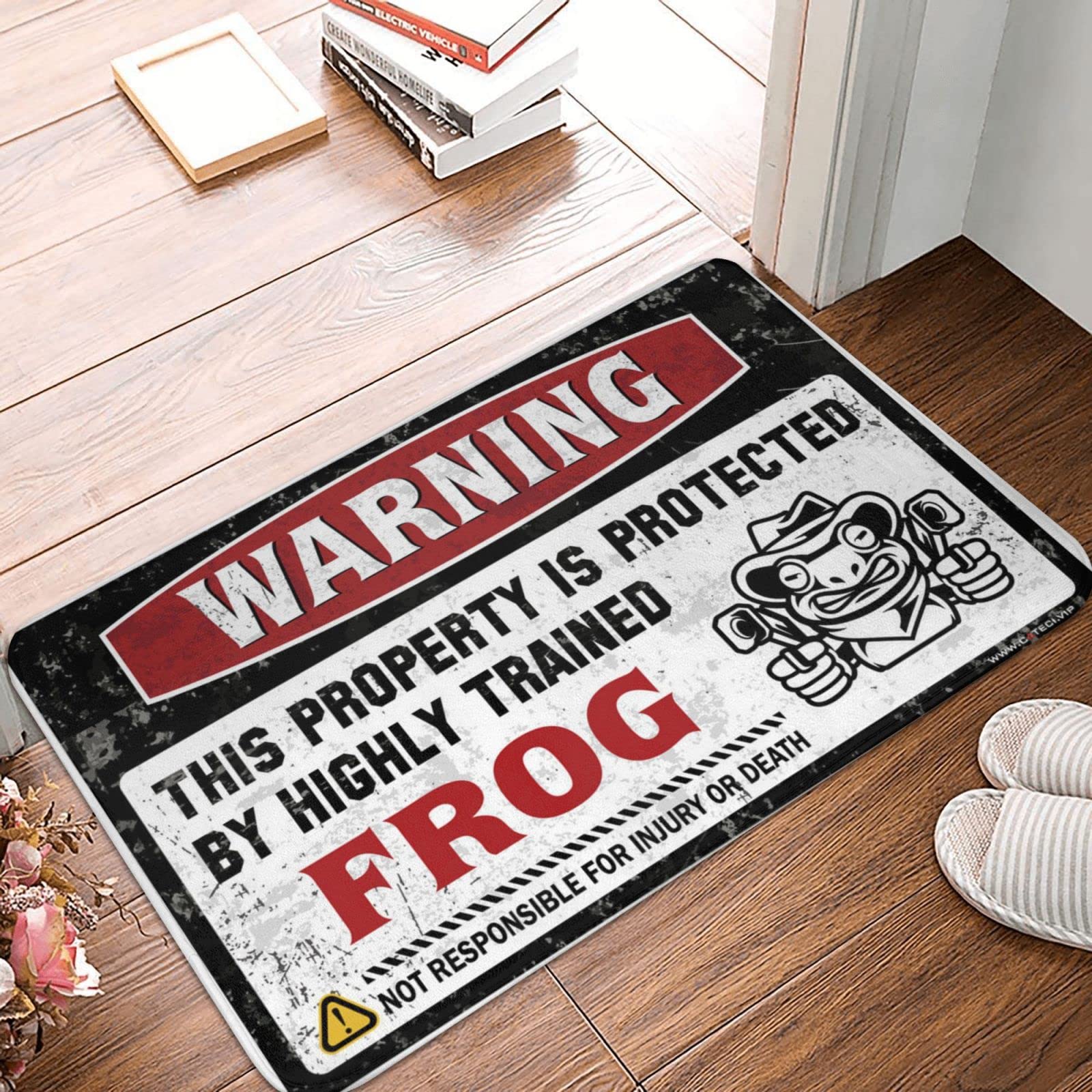 Tapis d'extérieur grenouille 50x80 cm pour égayer votre entrée de maison en été