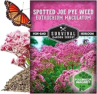 Vista 5 de Semillas de Jardín de Supervivencia - Semillas de Hierba de Joe Pye Manchadas para Plantar Eutrochium maculatum Imán de Mariposas Flor