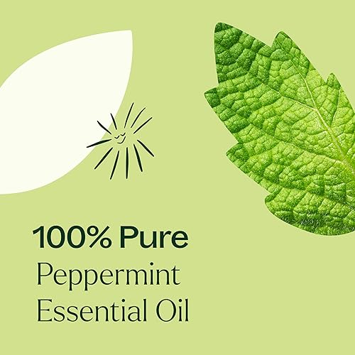 Miniatura 5 de Plant Therapy Peppermint Essential Oil 100 Pure Undiluted Natural Aromatherapy Therapeutic Grade 10 mL 13 oz