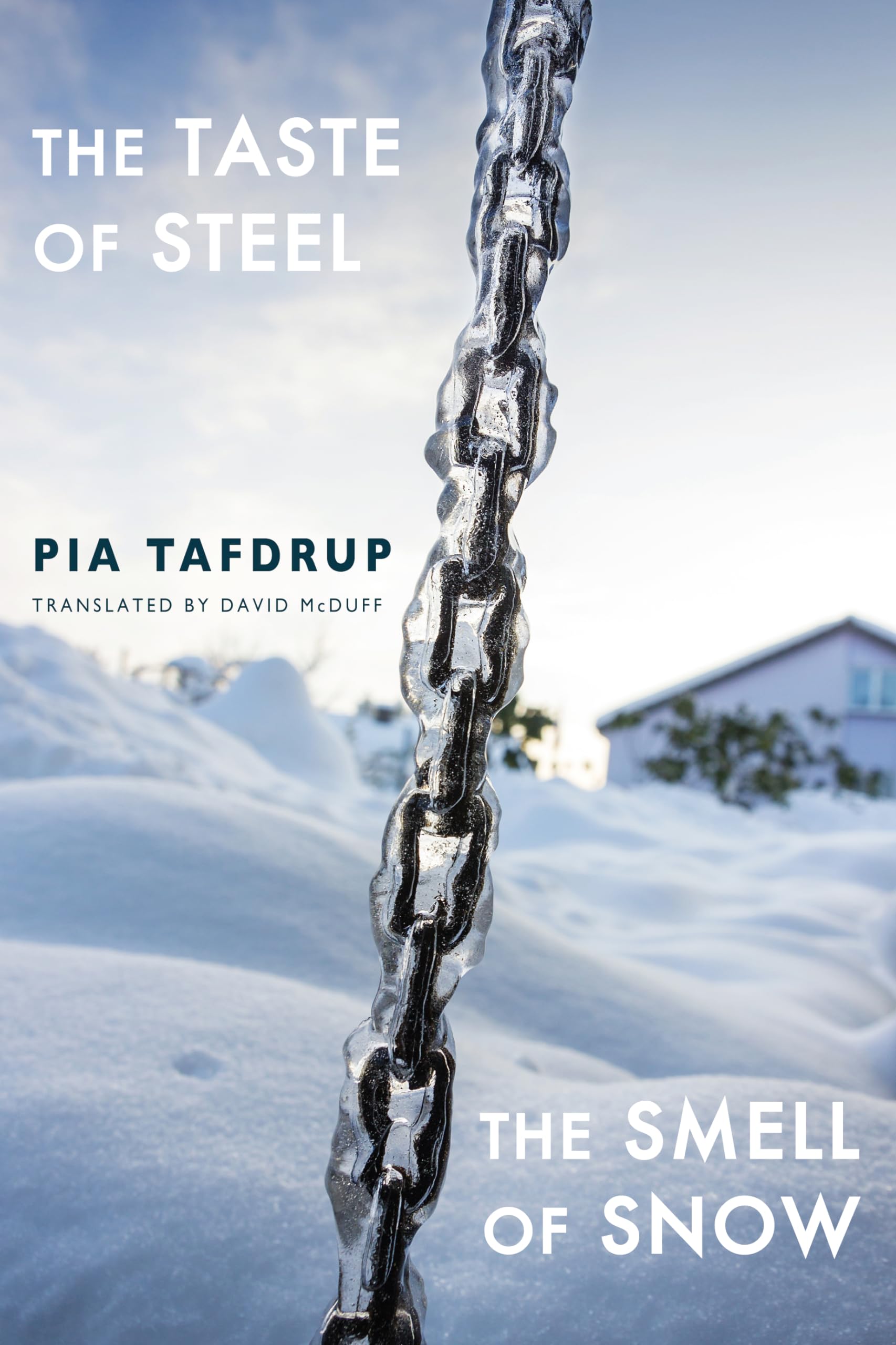 The Taste of Steel • The Smell of Snow by Pia Tafdrup PAPERBACK 9781780375045