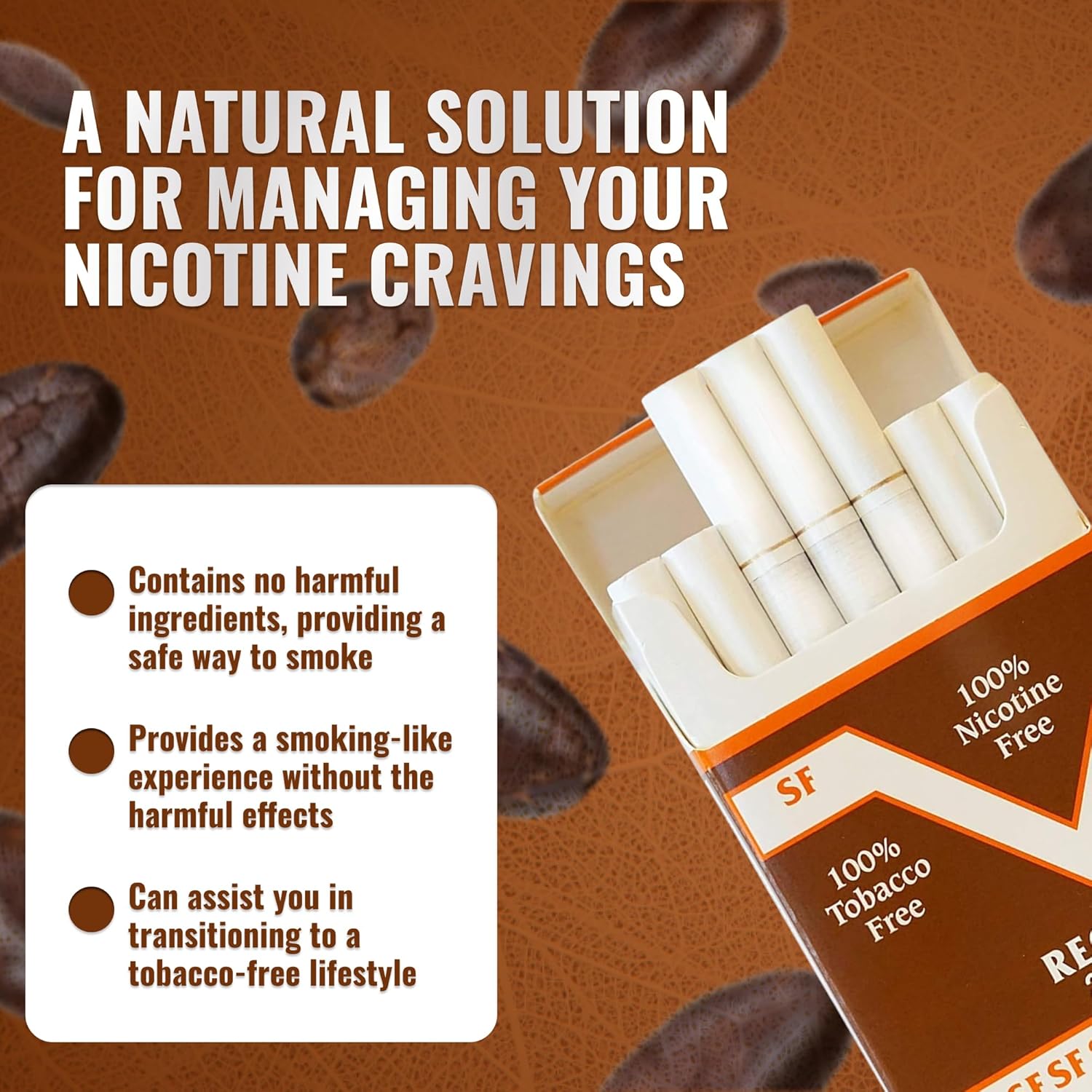 Smoke Free Herbal Cocoa Cigarettes - 10 Packs Regular - 100% Tobacco & Nicotine Free - Non Addictive - Tobacco Substitute - Premium Regular Flavor - 1 Carton (200 Sticks)