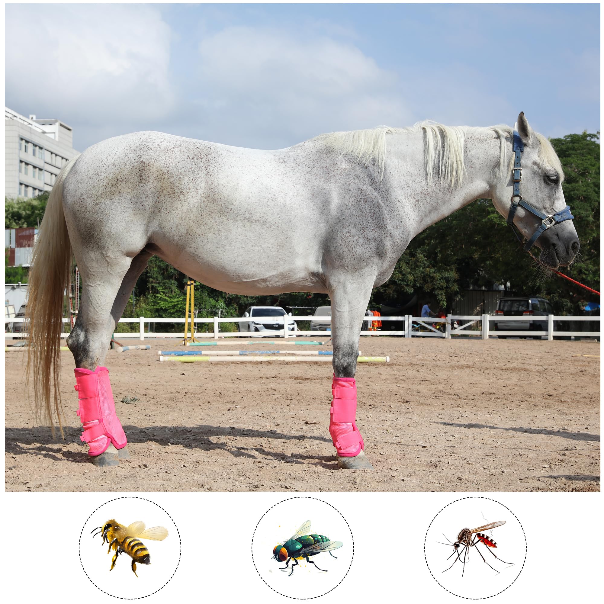 Leberna Set di 4 stivali da mosca per cavalli, traspiranti, comodi, in rete, riducono il calpestio, lo stress sugli zoccoli e l'affaticamento delle gambe (rosa, completi)